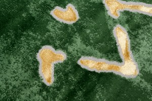 Килим  MV27A GREEN TURMALIN GPL  - Сучасний килим
