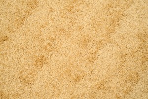 Teppich  DEVOTION 50 (GOLD)  - Shaggy-Teppich