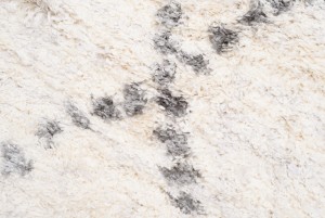Koberec  FN39B CREAM AZTEC EJF  - Huňatý koberec