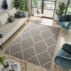 Koberec  H180A GRAY SPRING  - Moderný koberec